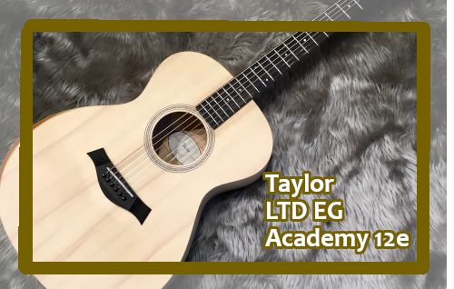 【エレアコギター】Taylor LTD EG Academy 12e