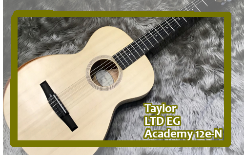 【エレガットギター】Taylor LTD EG Academy 12e-N