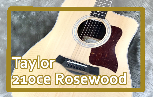 【エレアコギター】Taylor 210ce Rosewood