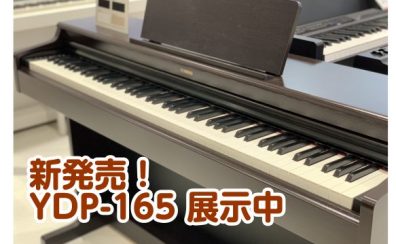 【電子ピアノ】YAMAHA アリウスシリーズ「YDP-165」