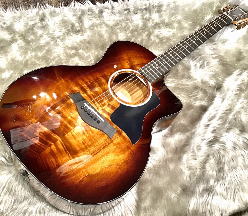 Taylor224ce-Koa DLX