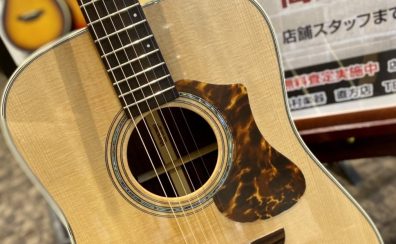 【中古アコギ】History「NT-L3/2020」が入荷！！！【島村楽器直方店】※売約済み