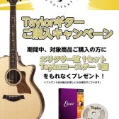 【アコースティックギター】Taylorギターご購入キャンペーン実施！