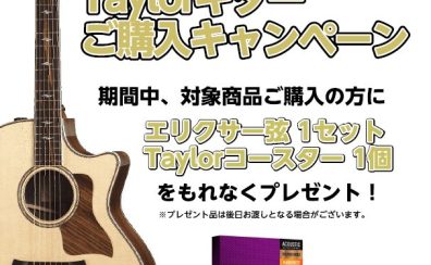 【アコースティックギター】Taylorギターご購入キャンペーン実施！