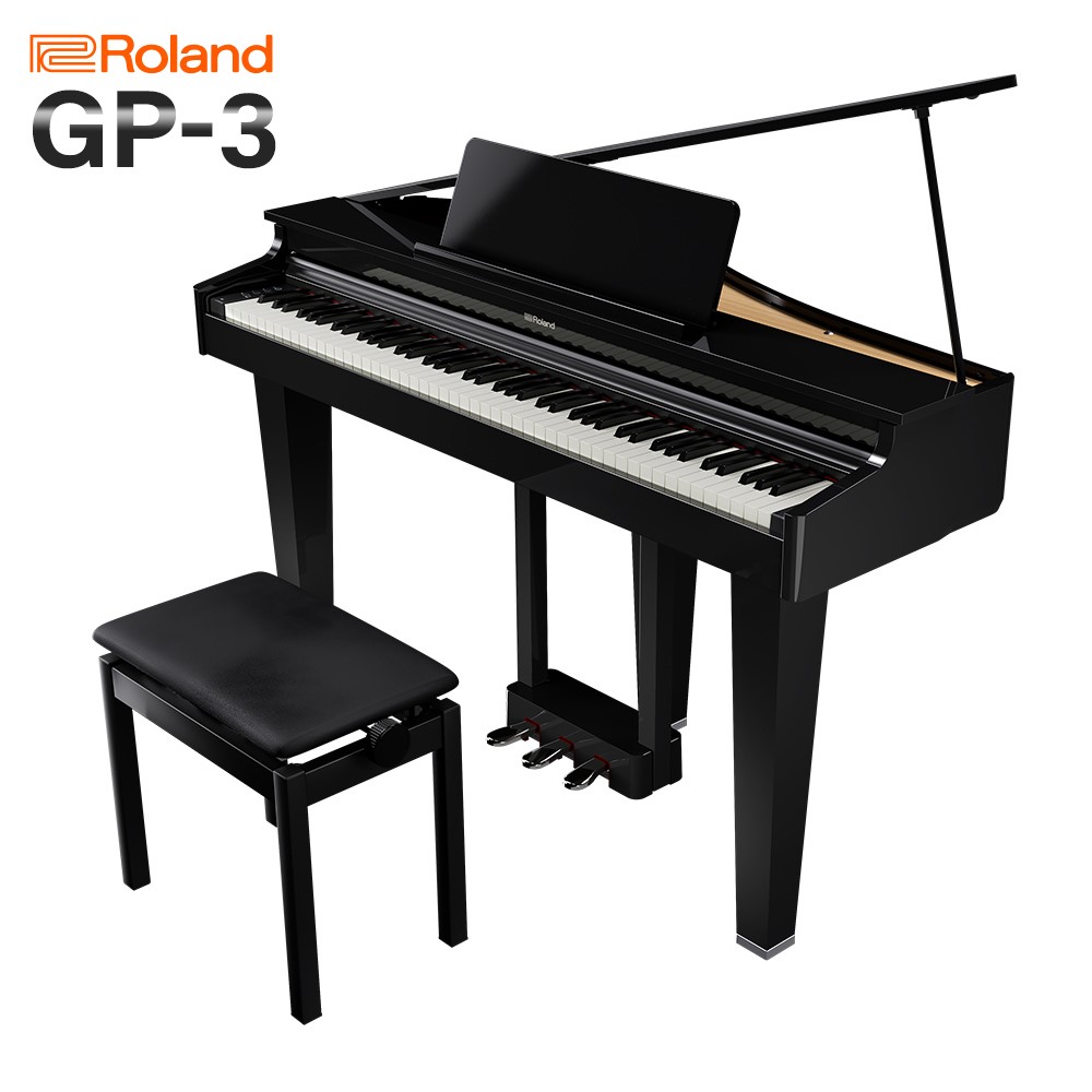 Roland GP-3-PES