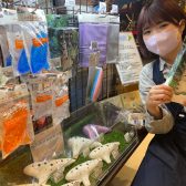 【オカリナ】春に向けて新しい楽器を始めてみませんか？
