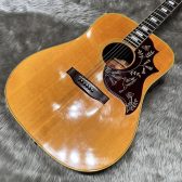 【アコースティックギター / ビンテージ品】「Gibson/Humming Bird CUSTOM」入荷しました！