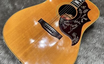 【アコースティックギター / ビンテージ品】「Gibson/Humming Bird CUSTOM」入荷しました！