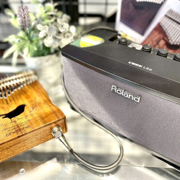 アンプとの同時購入もオススメです✨<br />
店頭ではRolandのギターアンプに繋いでいて、エフェクターとも繋げられちゃいます！