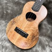 【コンサートウクレレ】KoAloha KCM-10RP MG【展示中】