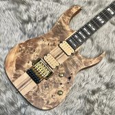 【エレキギター】Ibanez RGT1220PB ABS【展示品】