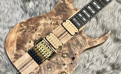 【エレキギター】Ibanez RGT1220PB ABS【展示品】
