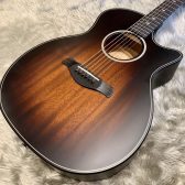【アコースティックギター / アウトレット】Taylor BE 324ce【展示中】