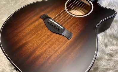 【アコースティックギター / アウトレット】Taylor BE 324ce【展示中】