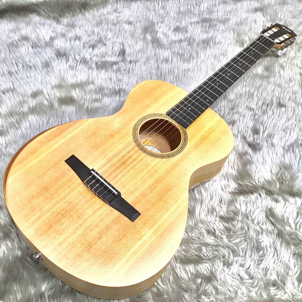 TaylorLTD EG Academy 12e-N