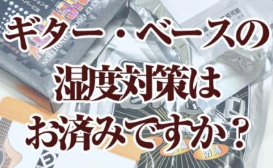 【ギター・ベースの湿度対策はお済みですか？】ギターとベースのための湿度対策ガイド