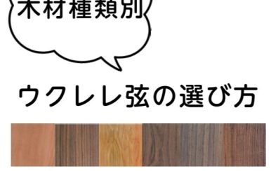 【ウクレレ】木材別・弦の選び方🌴