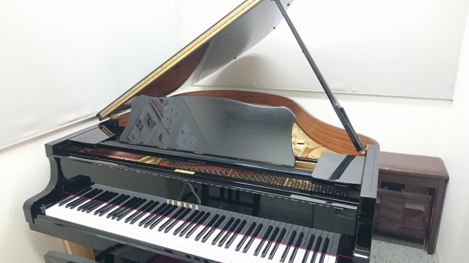 CONTENTS講師プロフィール講師へのインタビュー講師コメント島村楽器音楽教室の魅力について島村楽器直方店内・音楽教室の様子発表会・イベントのご案内よくあるご質問ご入会をお考えの方へお問い合わせ講師プロフィール フェリス女学院大学音楽学部器楽科ピアノ専攻卒業。同大学ディプロマコース修了。 リトミッ [&hellip;]