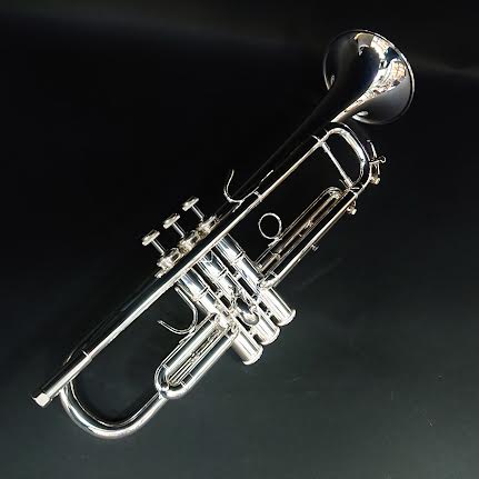 VINCENT MODEL