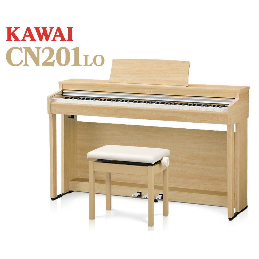 KAWAICN201