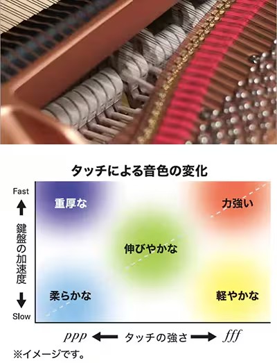グランド・エクスプレッション・モデリング