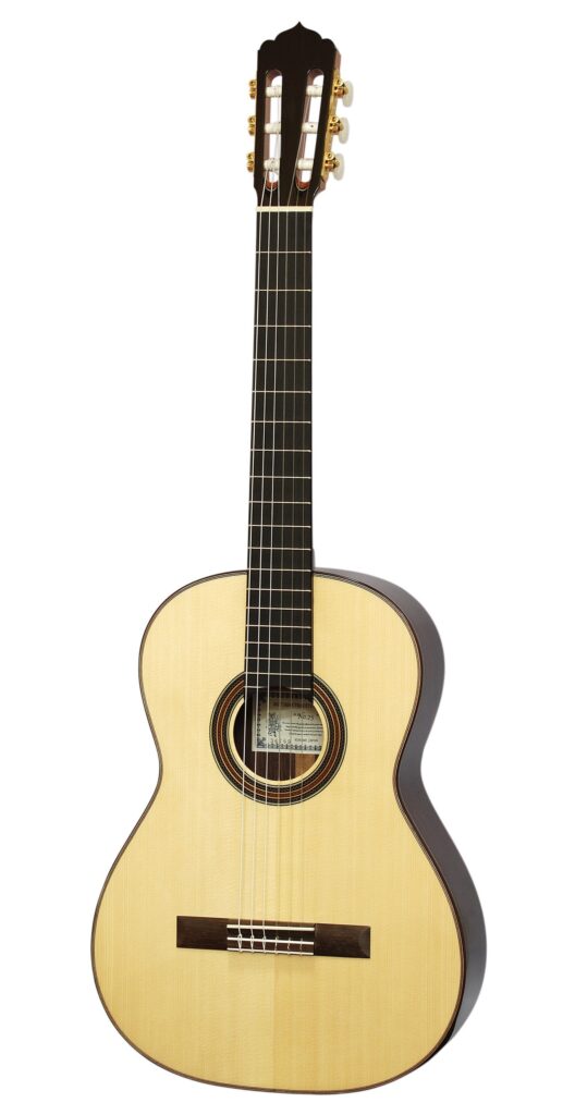 ASTURIASTraditional Works No.25【弦長650mm】