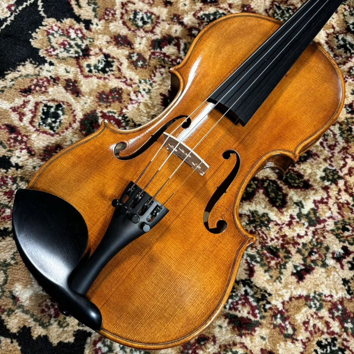 Nicolo Santi(4/4サイズ)NSN60S