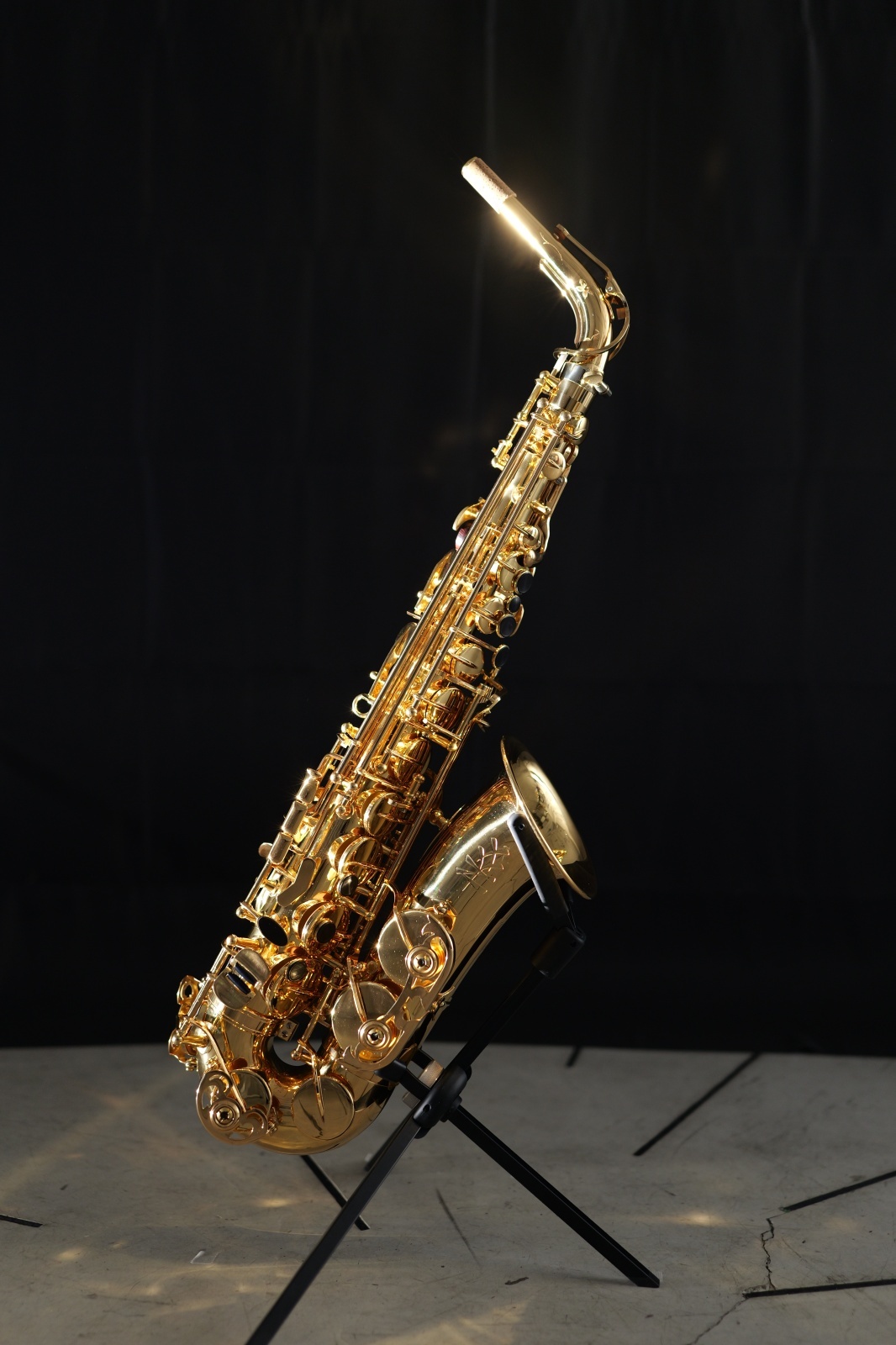 アルトサックスAlto Pro(即日納品可能)