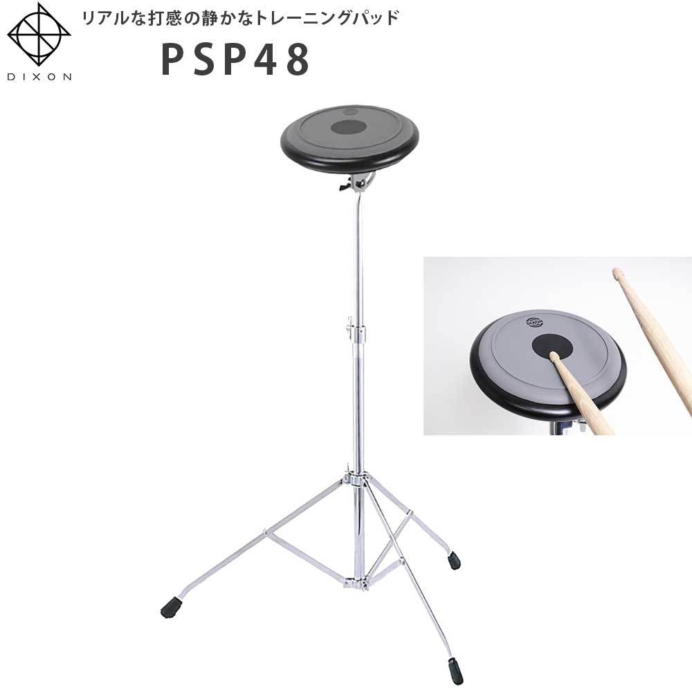 当店オススメモデルDIXON / PSP48