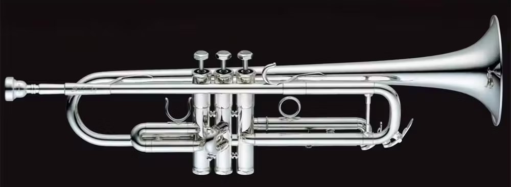 SchilkeS23HD SP