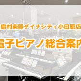 【電子ピアノ総合案内】～電子ピアノなら島村楽器へ！～