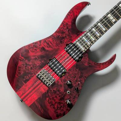 IbanezRGT1221PB SWL