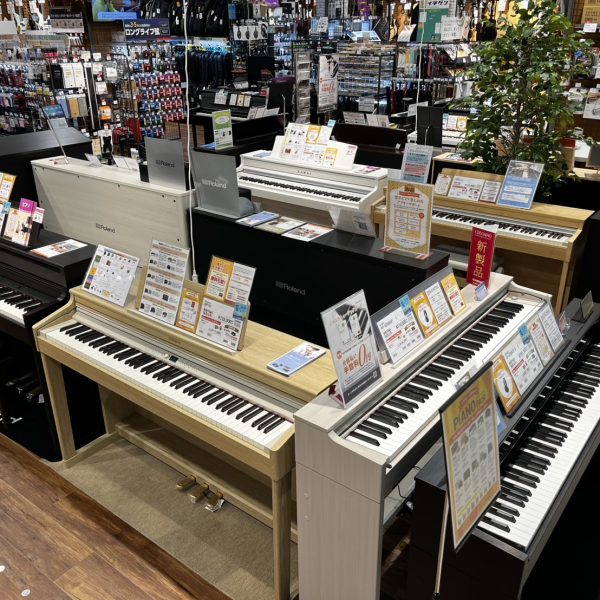 エントリーモデルから、ハイブリットモデルまで展示中です🌟