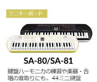 SA80/SA81