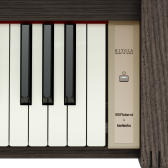 ✨🌲11/27発売🎹きよら新製品『KF-25』🌲✨