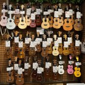 【ウクレレ総合案内】ダイナシティ小田原店