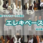 【エレキベース総合ページ】エレキベースを始めるなら大垣店へ！