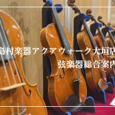 【弦楽器総合ページ】ヴァイオリン・弓、弦楽器選びならアクアウォーク大垣店にご相談ください。