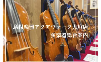 【弦楽器総合ページ】ヴァイオリン・弓、弦楽器選びならアクアウォーク大垣店にご相談ください。