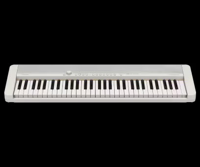 CASIOCT-S1