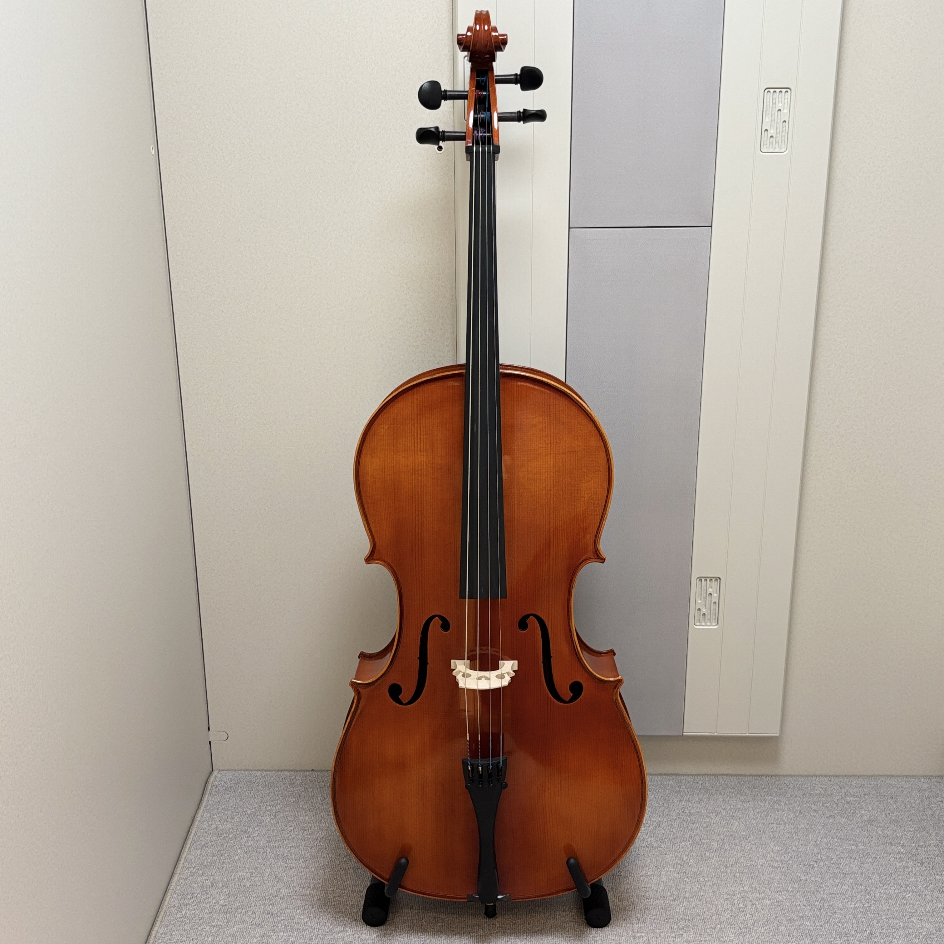 Eastman（イーストマン）VC100 SET