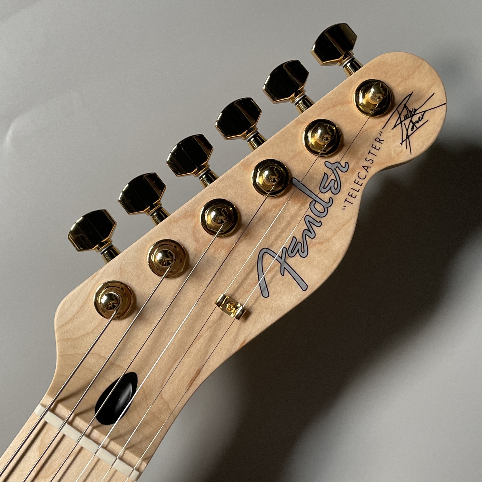 Fender/ITCHIE KOTZEN TELE ストラトキャスターも入荷してます！