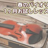 【バイオリン教室】春の1ヶ月お試しレッスン開講♪