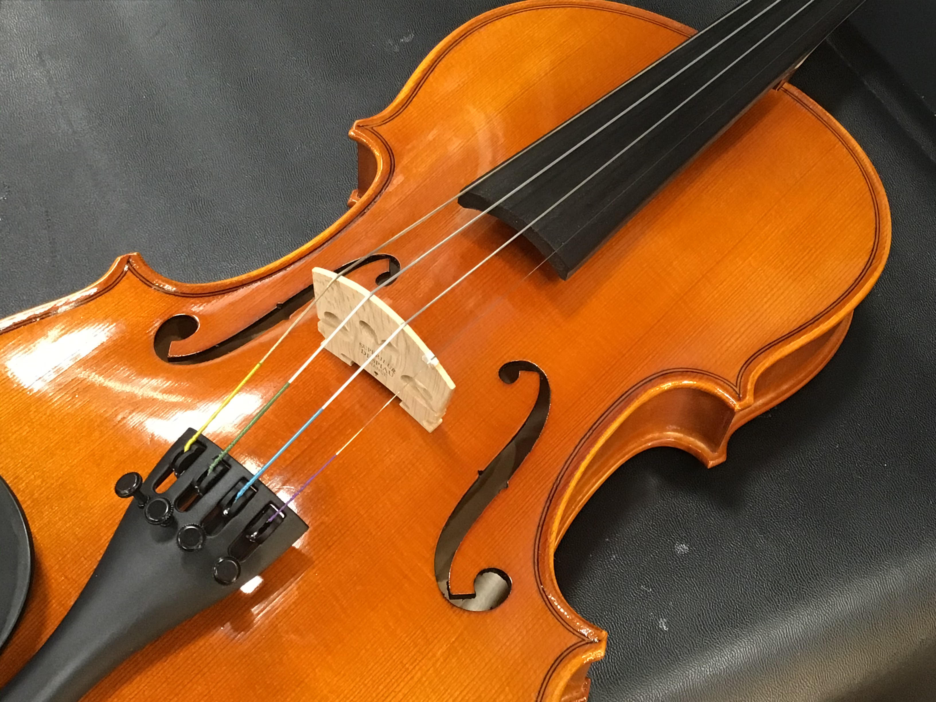【弦楽器】バイオリンや弦を買うならここがポイント！おすすめのバイオリンの選び方♪