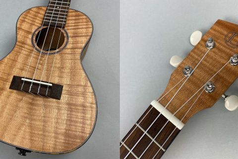 カテゴリー Span ギター ベース ウクレレ Span パークプレイス大分店 店舗情報 島村楽器