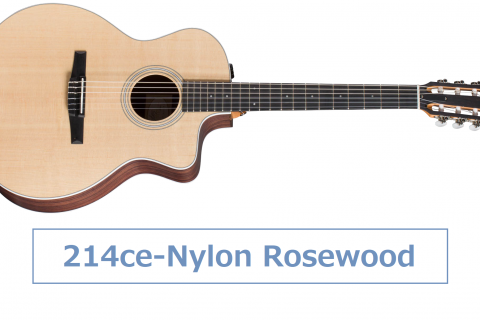 カテゴリー Span ギター ベース ウクレレ Span パークプレイス大分店 店舗情報 島村楽器