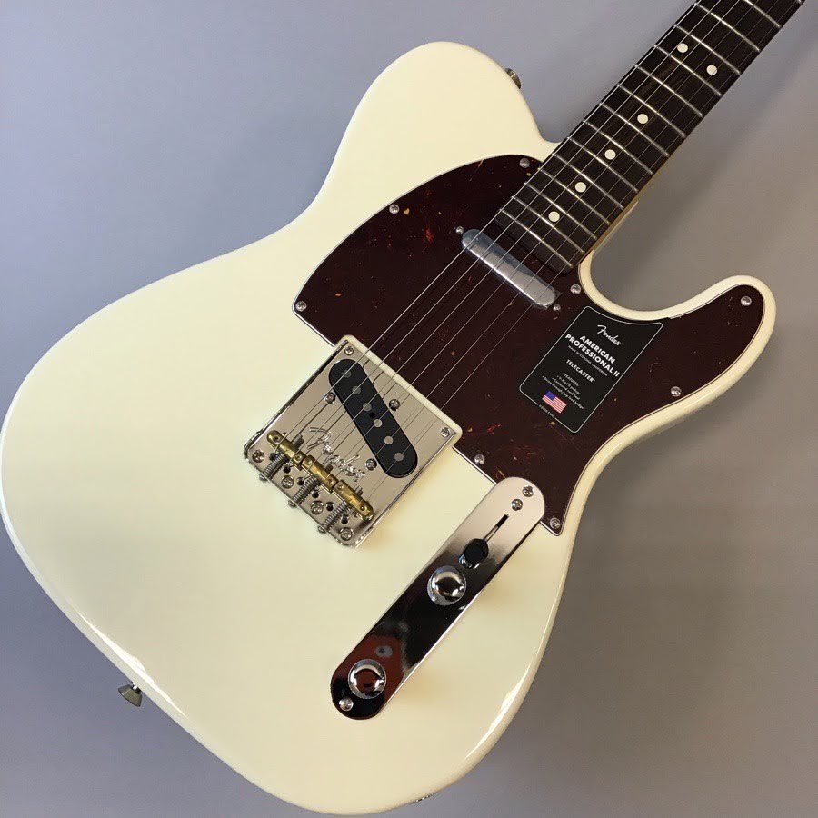 エレキギターFender/AM PRO II TL RW