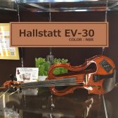 【バイオリン】 Hallstatt EV-30 NBR(ナチュラルブラウン) 入荷致しました！