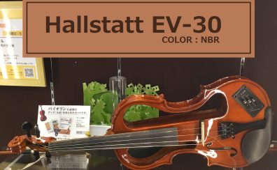 【バイオリン】 Hallstatt EV-30 NBR(ナチュラルブラウン) 入荷致しました！
