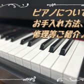 【ピアノ徹底解剖！】ピアノについて、お手入れ方法、修理方法などご紹介♪